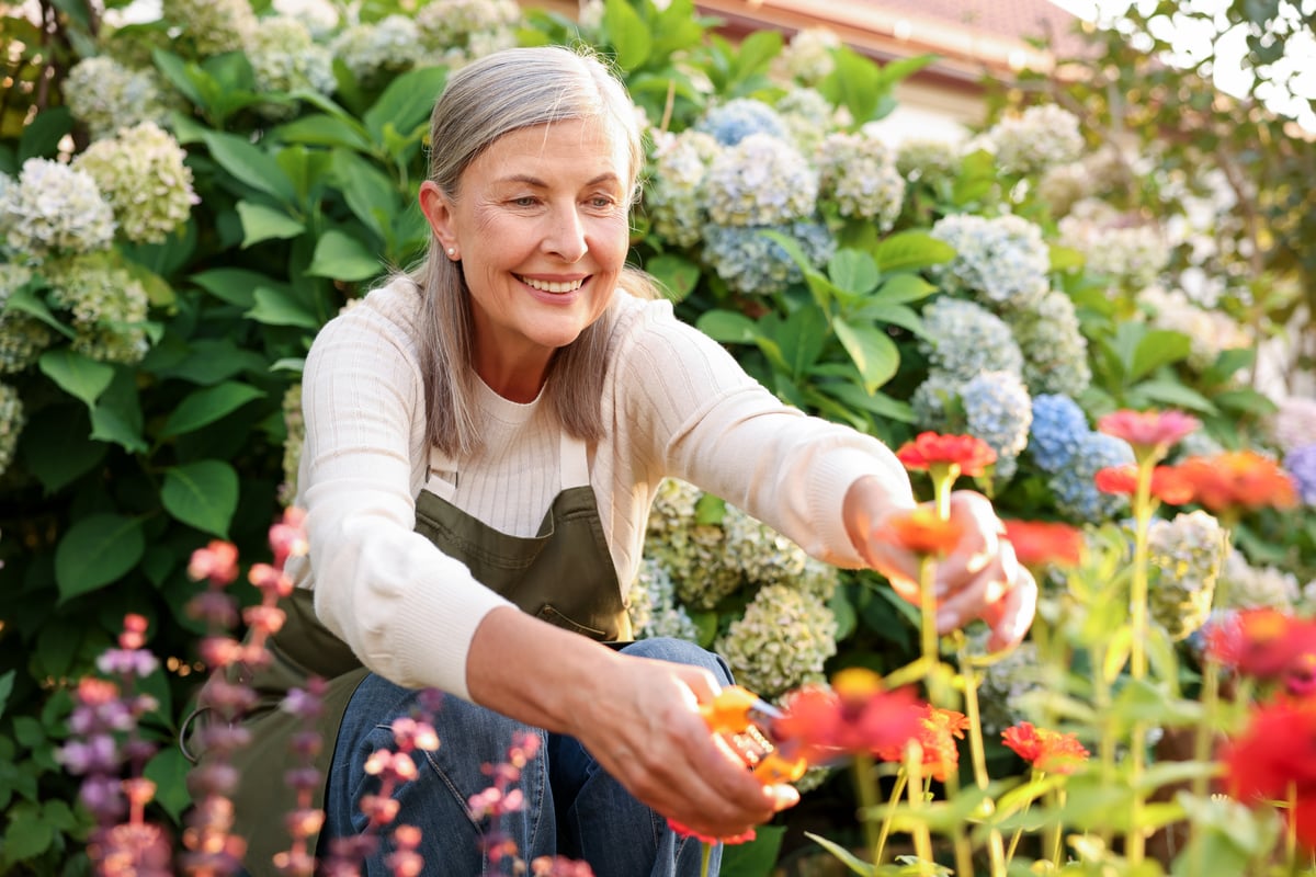 iStock-2251472754